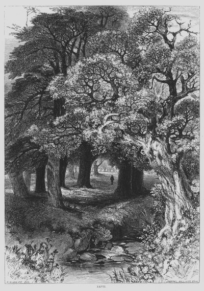 John Milton, Il Penseroso door Frederick William Hulme