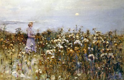 Zomerzon door Frederick William Jackson