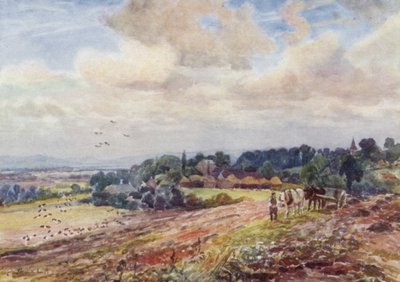 Hongerige Grafton door Frederick William Newton Whitehead