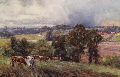 Leamington en Warwick vanaf de Campion Hills door Frederick William Newton Whitehead
