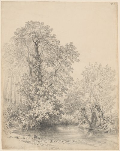 Bomen bij de Rivier in Castle Bromwich door Frederick William Watts
