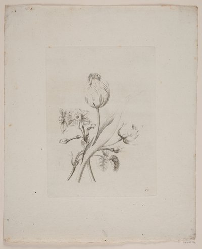Bloemenmotief door Frederik Schepelern