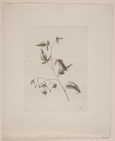 Bloemenmotief door Frederik Schepelern
