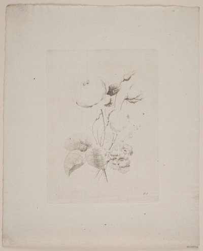 Bloemenmotief door Frederik Schepelern