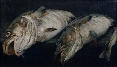 Kabeljauw door Fredrik Kolstoe