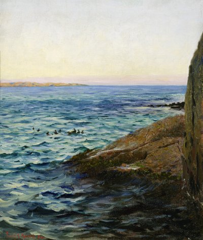 Zomeravond door Fredrik Kolstoe