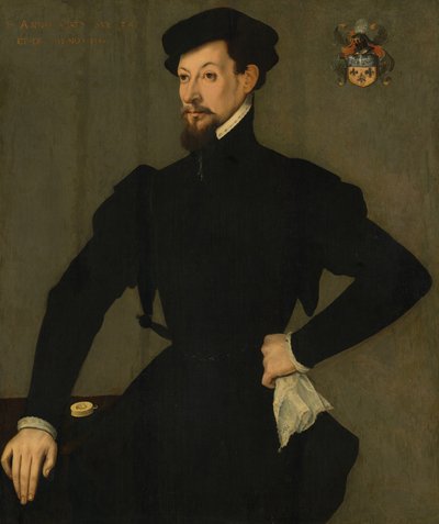 Portret van een Lid van de Quaratesi Familie door French 16th Century