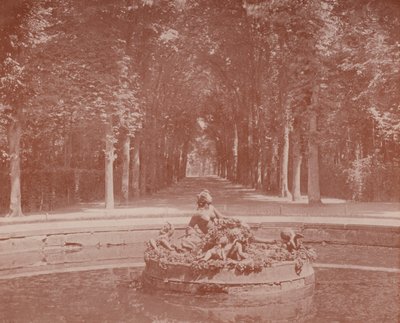 Bassin van Flora, Park van Versailles door French Photographer