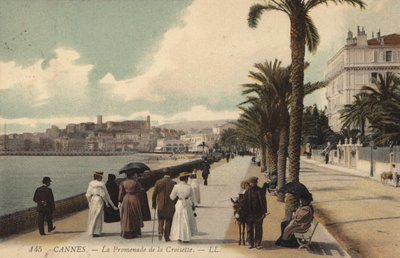 Cannes, De Promenade De La Croisette door French Photographer