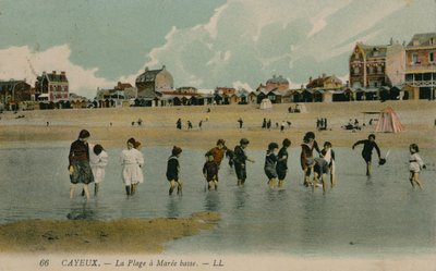 Cayeux, het strand bij eb door French Photographer