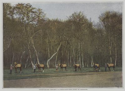 Oefenen van renpaarden in La Croix-Saint-Ouen in het Foret de Compiegne, Frankrijk door French Photographer