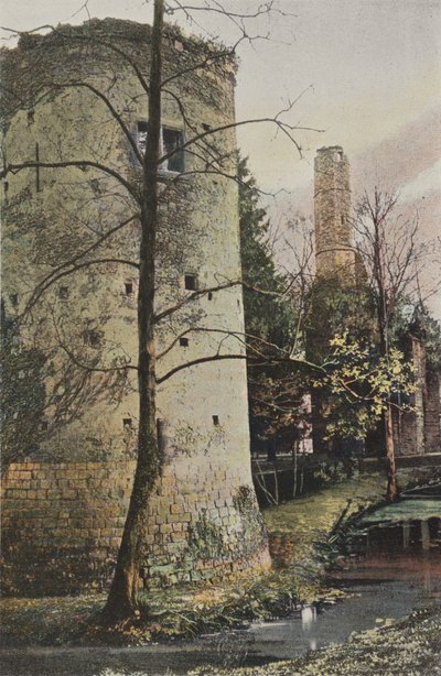 Fontenay-Tresigny, ruïnes van het kasteel van Vivier-en-Brie door French Photographer
