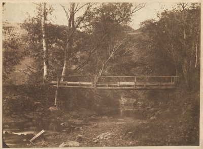 Landschap met bomen en brug,c. 1850 (foto) door French Photographer