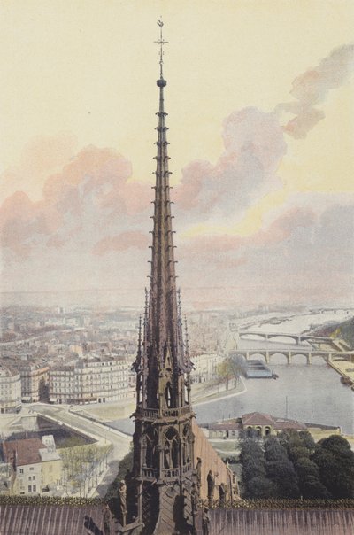 Parijs, torenspits van Notre-Dame, zicht vanaf de zuidelijke toren door French Photographer