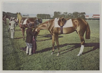 Renpaarden in Deauville, Frankrijk door French Photographer
