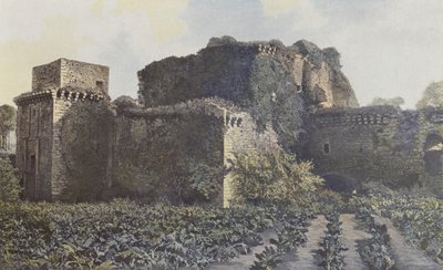Tiffauges, Ruïnes van het Kasteel, Uitzicht vanaf de binnenplaats door French Photographer