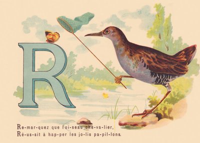 A: Let op dat de riddervogel, Succes om de mooie vlinders te vangen door French School