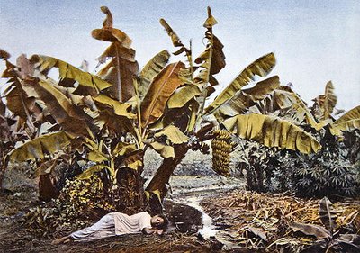 Een banaan- en maniokplantage in Nieuw-Caledonië, eind 19e eeuw door French School