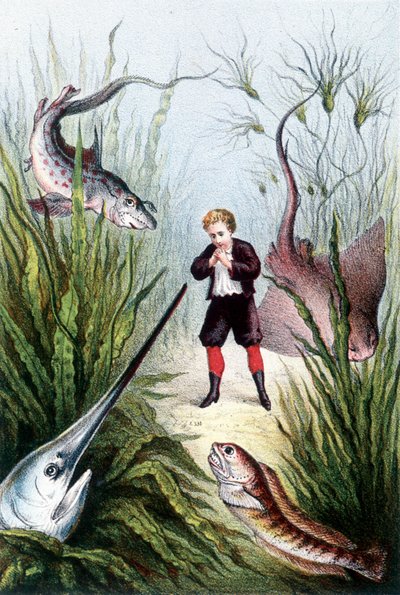 Een jongen omringd door gigantische vissen - in "Reis naar de bodem van de zee" door H. de la Blanchère. Parijs, ed. Jouvet et Cie, sd. 1880 door French School