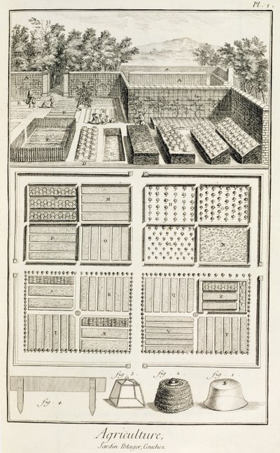 Een moestuin, uit De Encyclopedie van Wetenschap, Kunst en Techniek door Denis Diderot (1713-84), ca. 1770 door French School