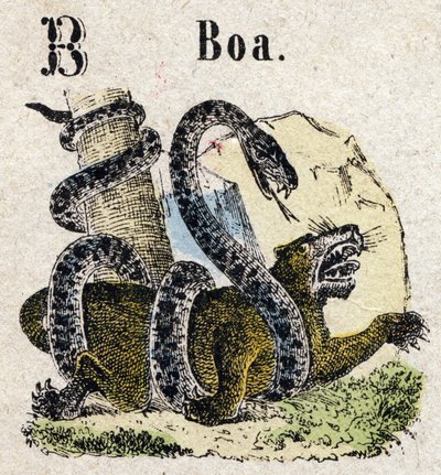 Abecedarium. Letter B zoals Boa. Kleine encyclopedische alfabet, populaire serie. Epinal beeld, eind 19e eeuw door French School