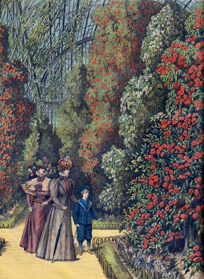 Acclimatietuin - la serre des camelias - Cameliakas in een botanische tuin door French School