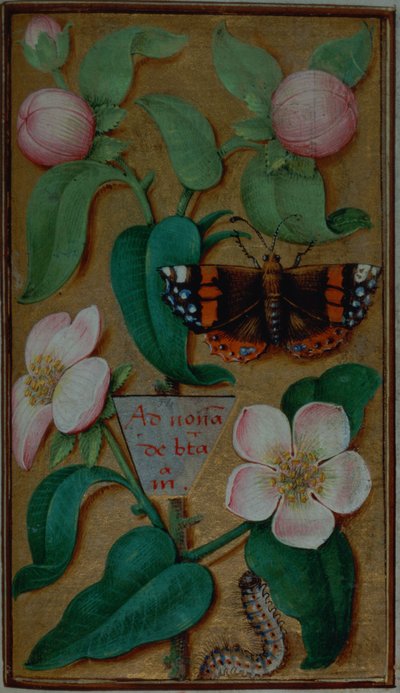 Bloemen en vlinder, uit een Getijdenboek, Parijs door French School