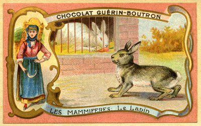 Reclame chromolithografie van chocolade Guerin Boutron, Zoogdieren, Het konijnenhok en wild, konijnenhol door French School
