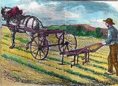 Landbouw: een van de eerste mechanische schoffelmachines, met dierlijke tractie, gebruikt in een bietenveld door French School