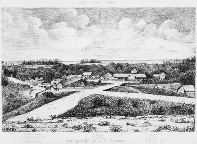 Album van het Isle of Pines, Uro, 1878-79 door French School