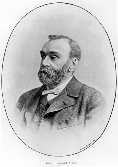 Alfred Bernhard Nobel door French School