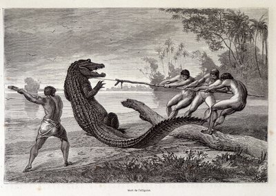 Alligatorjacht, Brazilië, 