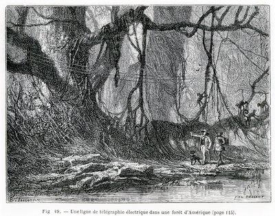 Een elektrische telegraaflijn in een Amerikaans bos, ca. 1870 (gravure) door French School