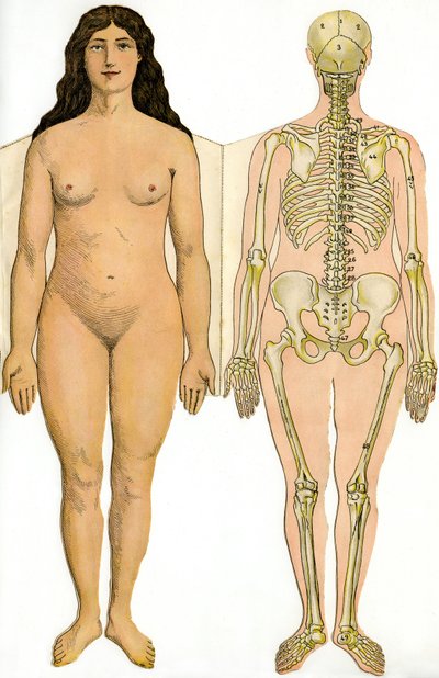 Anatomische vouwplaat van de Nieuwe Praktische Encyclopedie van Geneeskunde en Hygiëne, door Dr. Rehm, Boekhandel Aristide Quillet 1922 - menselijk lichaam - naakte vrouw en vrouwelijk skelet door French School