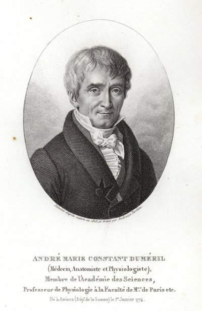 André Marie Constant Duméril door French School