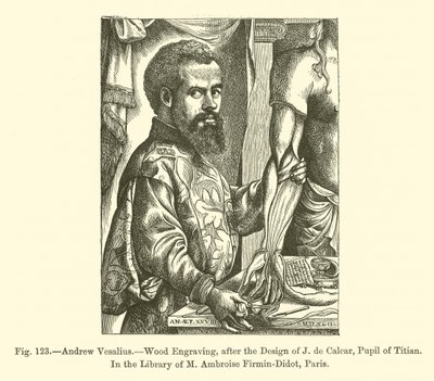 Andreas Vesalius door French School