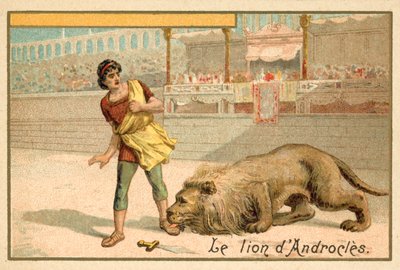 Androcles en de Leeuw door French School