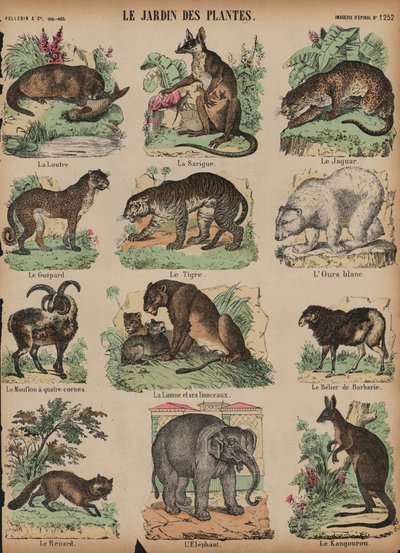 Dieren in de Jardin des Plantes, Parijs, Frankrijk door French School