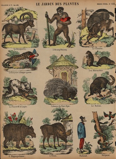 Dieren in de Jardin des Plantes, Parijs, Frankrijk door French School