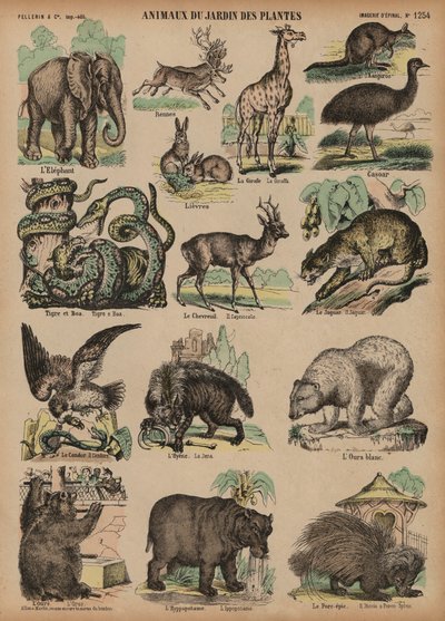 Dieren van de Jardin des Plantes, Parijs, Frankrijk door French School