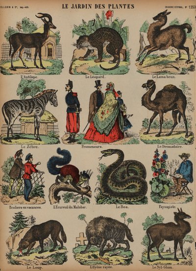 Dieren van de Jardin des Plantes, Parijs, Frankrijk door French School