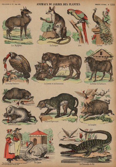 Dieren van de Jardin des Plantes, Parijs, Frankrijk door French School