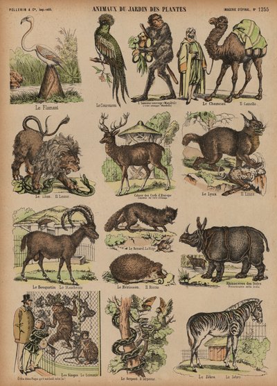 Dieren van de Jardin des Plantes, Parijs, Frankrijk door French School