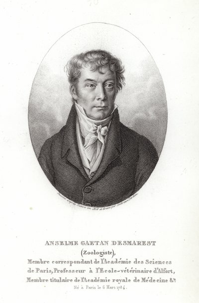 Anselme Gaëtan Desmarest door French School