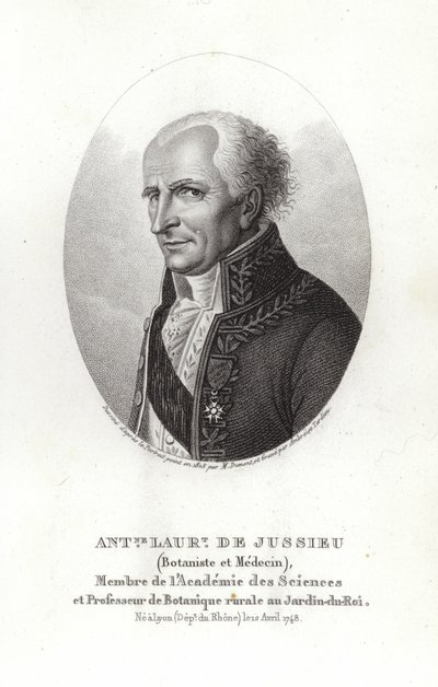 Antoine Laurent de Jussieu door French School