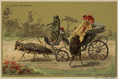 Au Bon Marche kaarten met antropomorfe insecten door French School