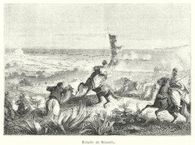 Slag bij Staoueli (gravure) door French School