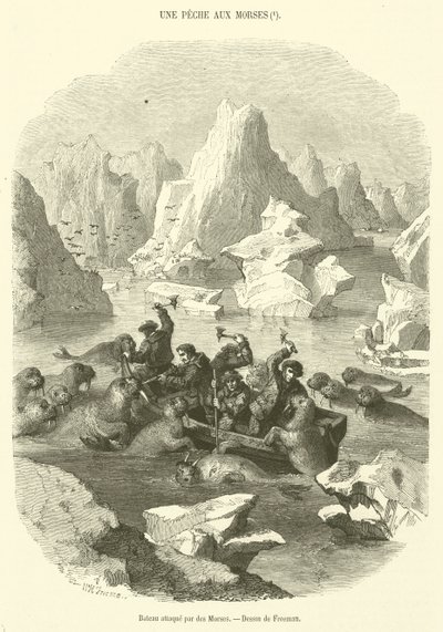 Boot aangevallen door walrussen (gravure) door French School