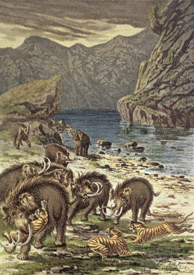 Gevecht tussen mammoeten en sabeltandtijgers, uit Le Monde Avant la Creation d