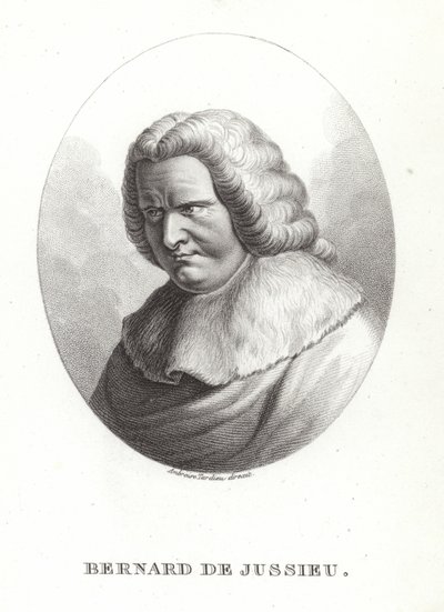 Bernard de Jussieu door French School